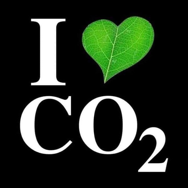 Aufkleber I Love CO2  1 Stück