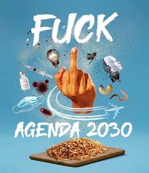 Aufkleber Fu.. AGENDA 2030 1 Stück